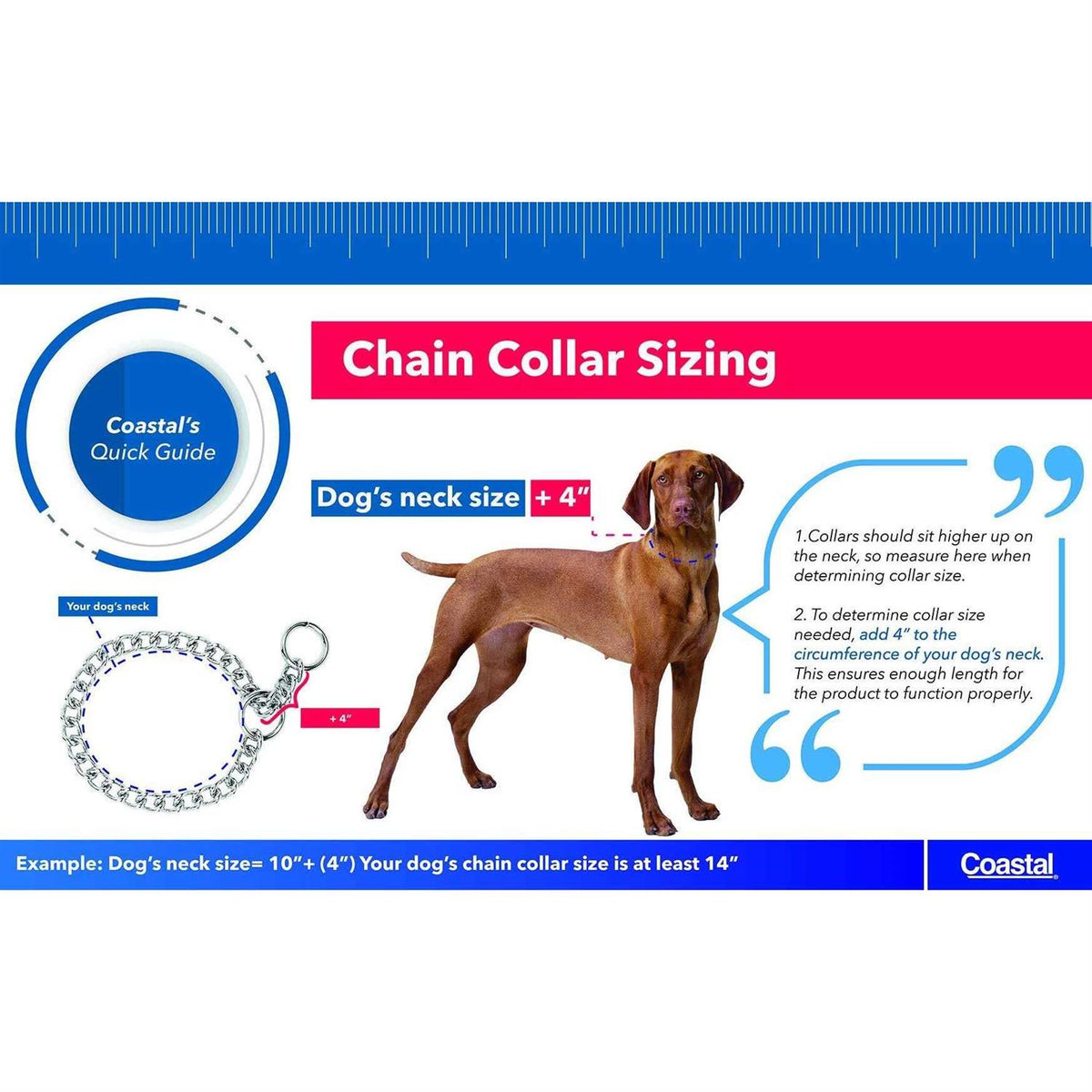 Dog Prong Training Collar E7789