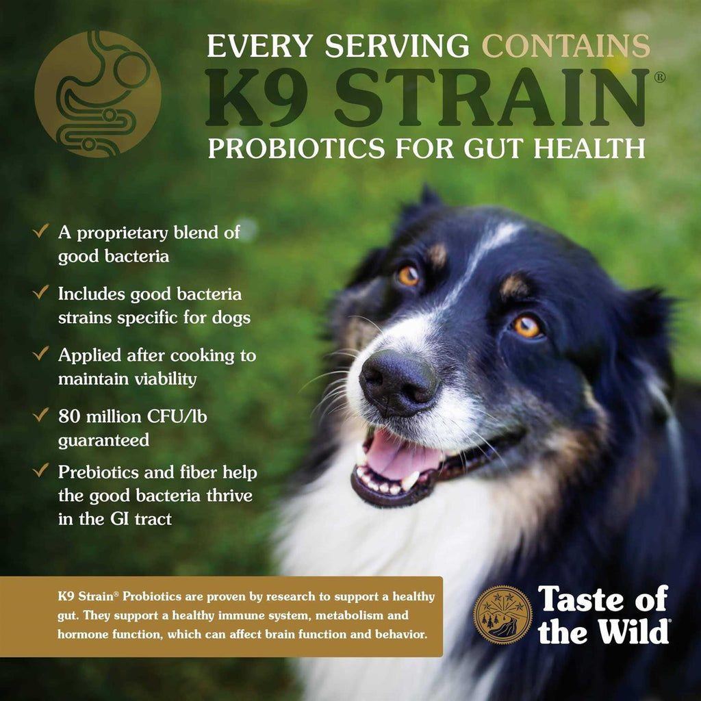 Dog Food X391622