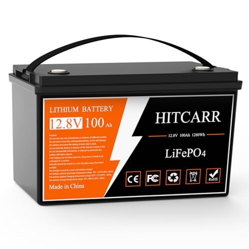 12V 100Ah LiFePO4 Deep Cycle Rechargeable Battery with BMS G238953