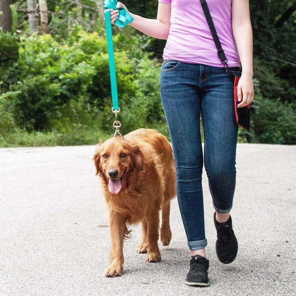 Dog Prong Training Collar E7789