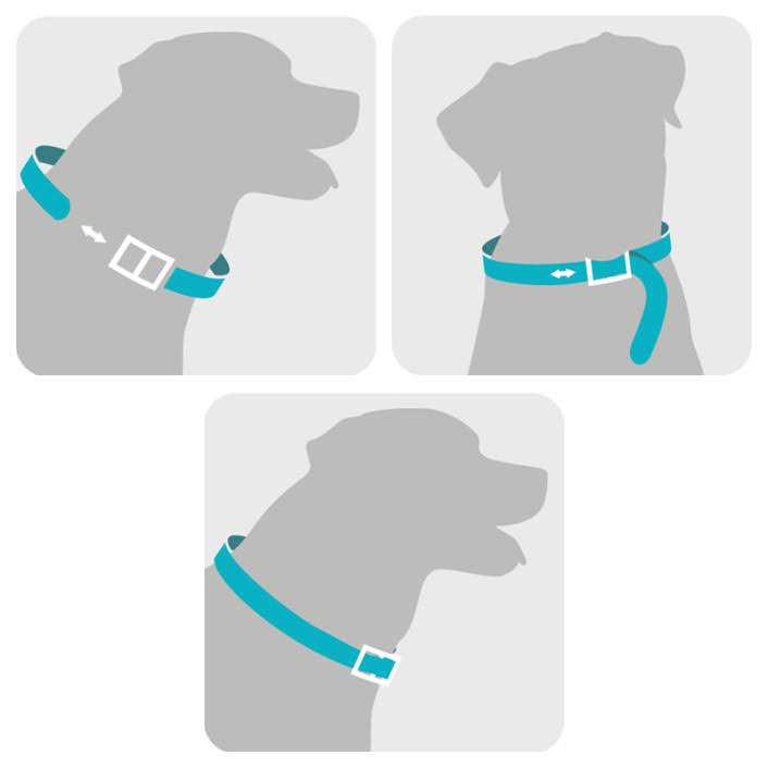 Flea & Tick Collar for Dogs I1960