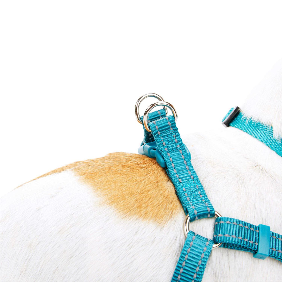 Reflective Dog Harness Z27900