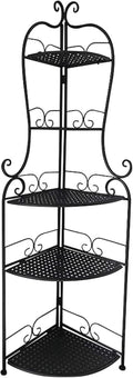 5 Tier Iron Plant Stand Z3112