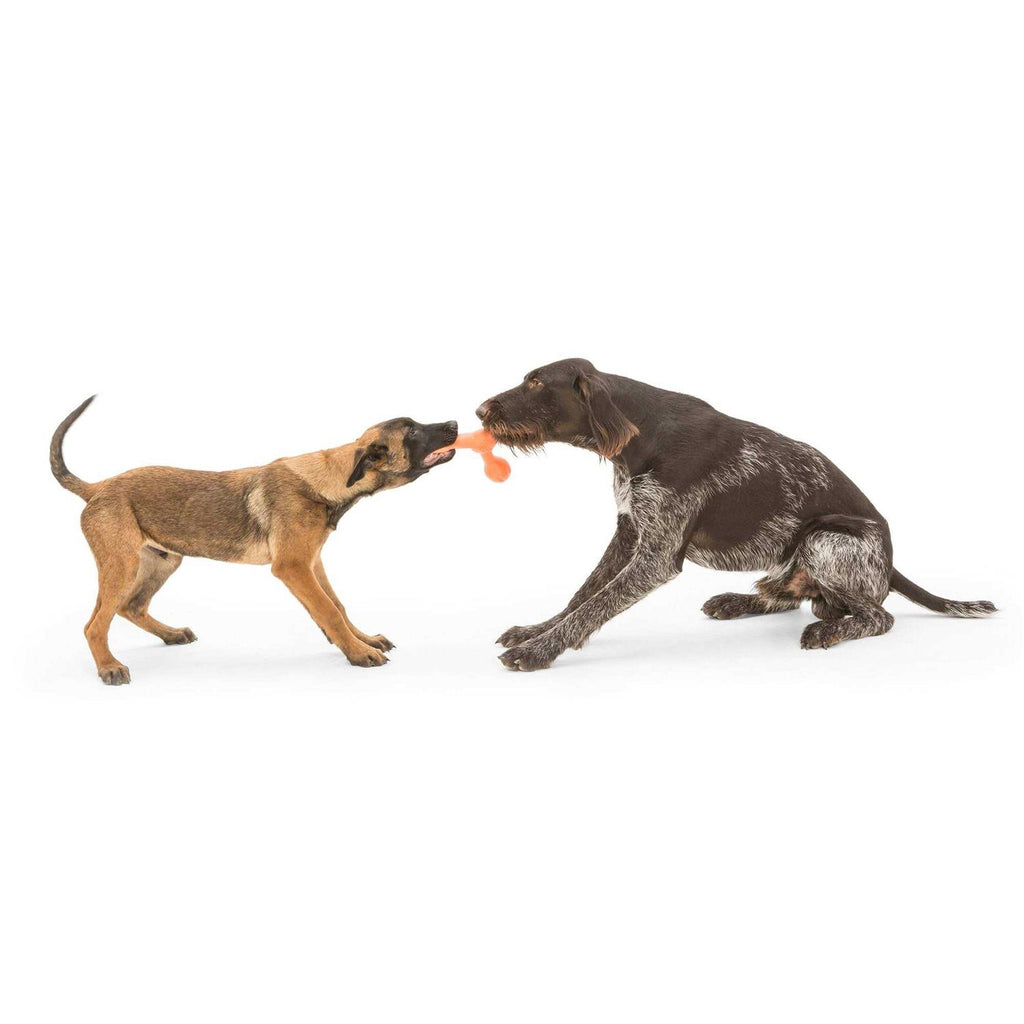 Skamp Dog Toy Q320