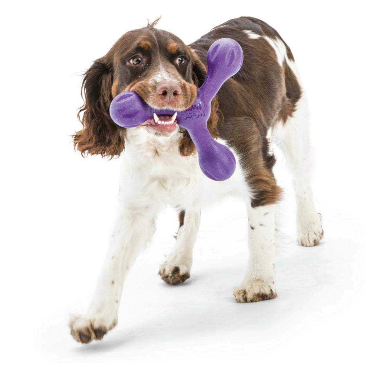 Skamp Dog Toy Q320