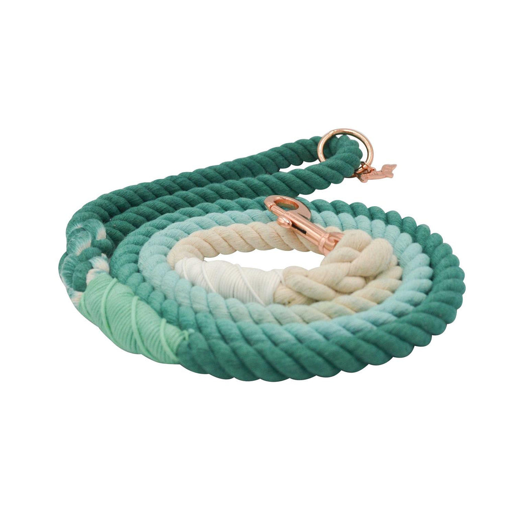 Dog Rope Leash S434