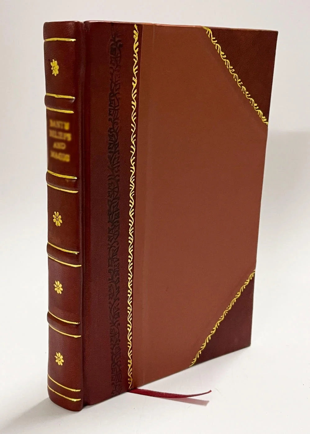 Leather Bound Demonology and Witchcraft D81385