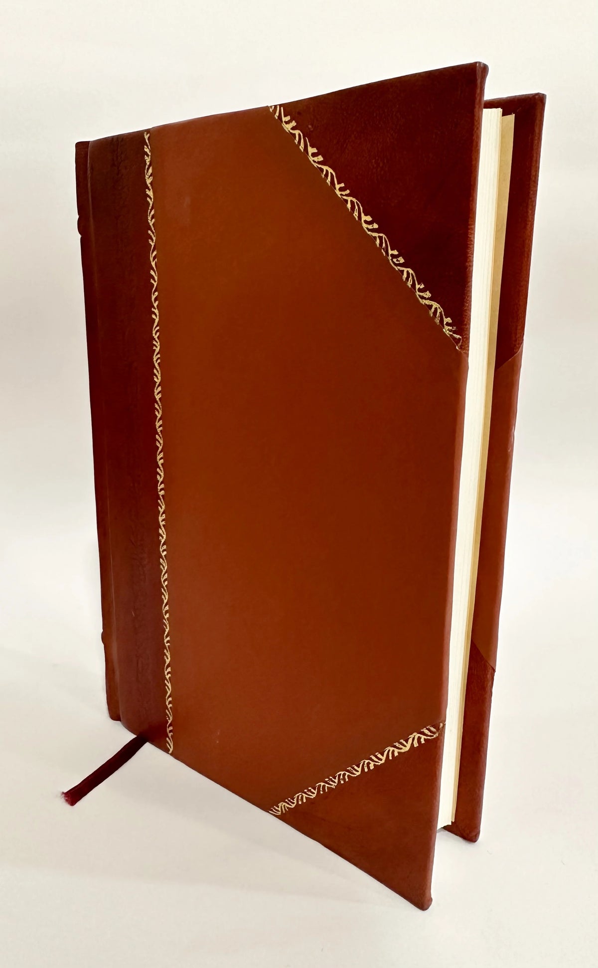 Leather Bound Demonology and Witchcraft D81385