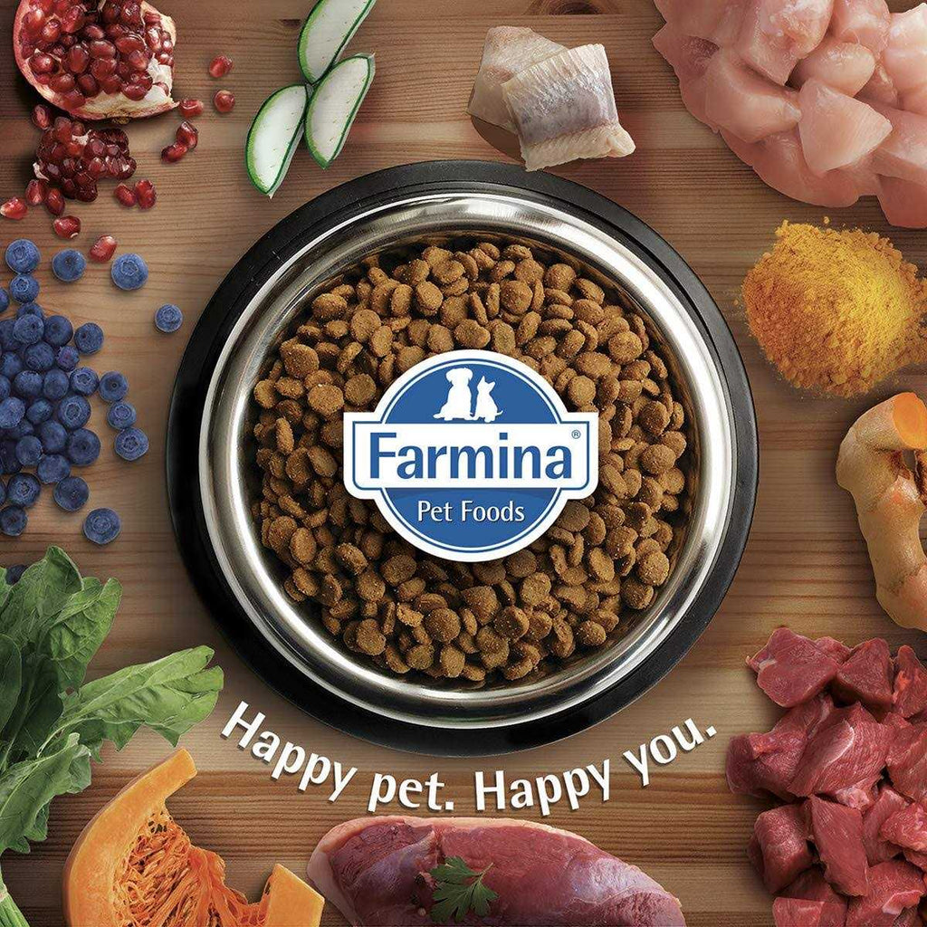 Chicken & Pomegranate Dry Dog Food H585