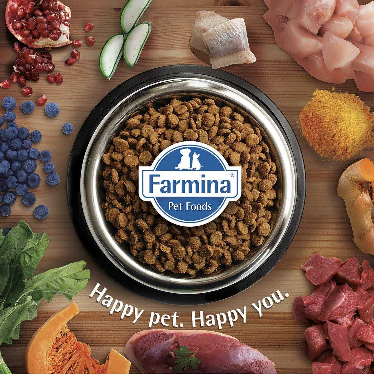 Chicken & Pomegranate Dry Dog Food H585