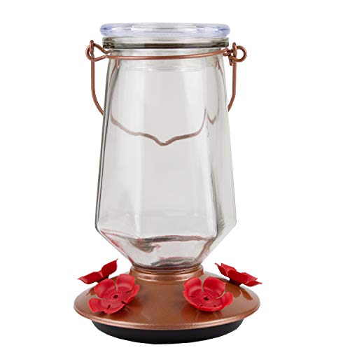 Bronze Glass Hummingbird Feeder 28 oz D499