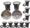 12V 24V DC AC Low Voltage Outdoor LED Light, 12 Pack R3025