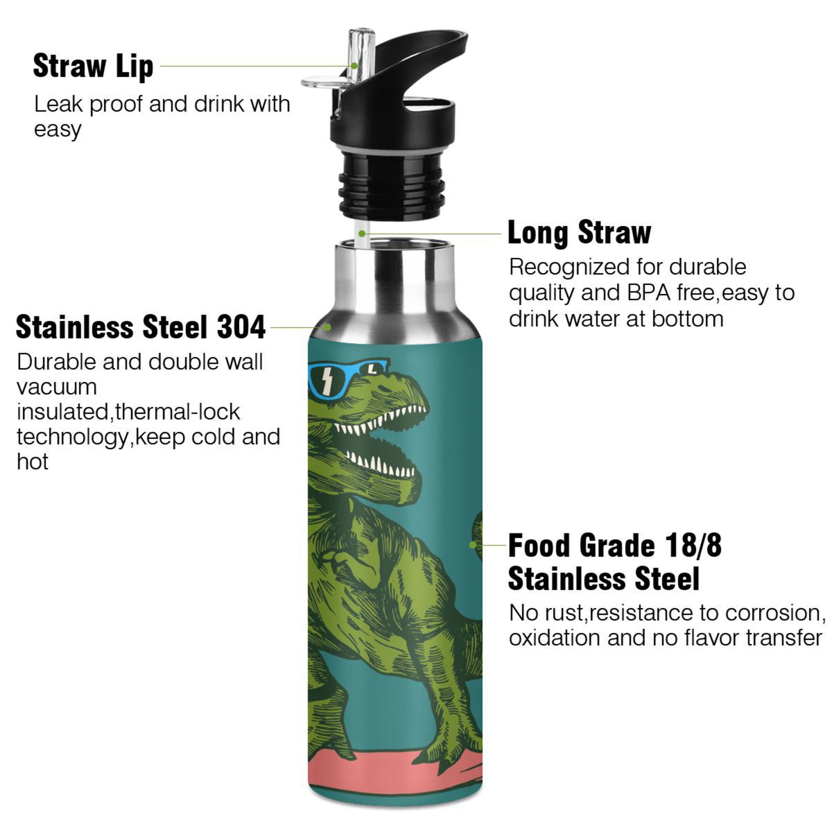 Dinosaur Green Stainless Steel Insulated Water Bottle with Straw Lid I911050
