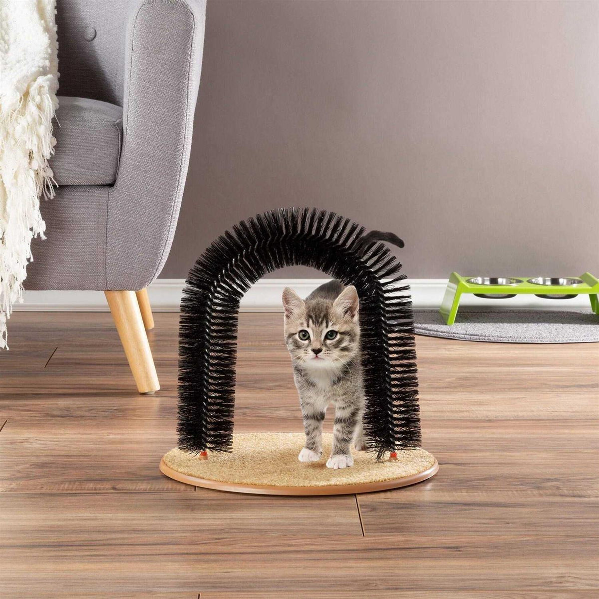 Self-Grooming Cat Arch with Bristle Ring Q707