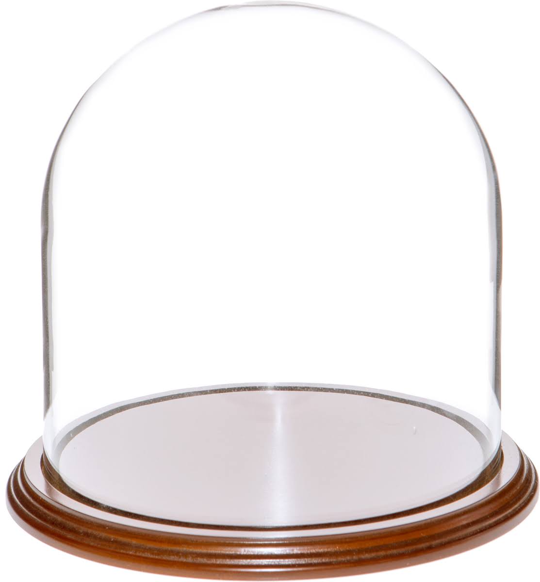 Glass Display Dome Cloche with Walnut Veneer Base T200274