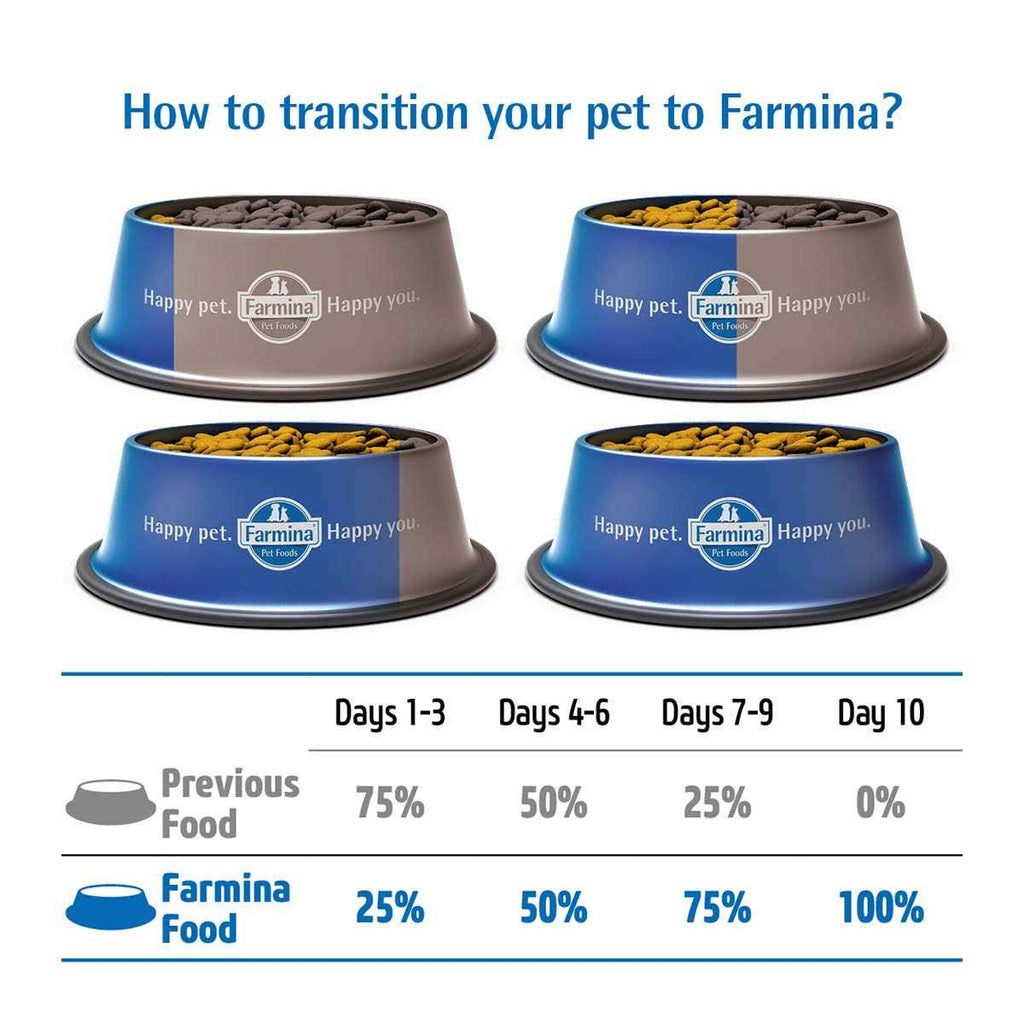 Cod Pumpkin Orange Dry Dog Food C688226