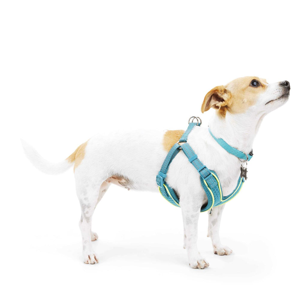 Reflective Dog Harness Z27900