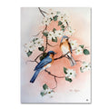 Bluebirds and Dogwood Canvas Art V4649