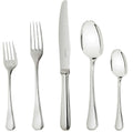 Silver Plated 5-Piece Dinner Setting U40670