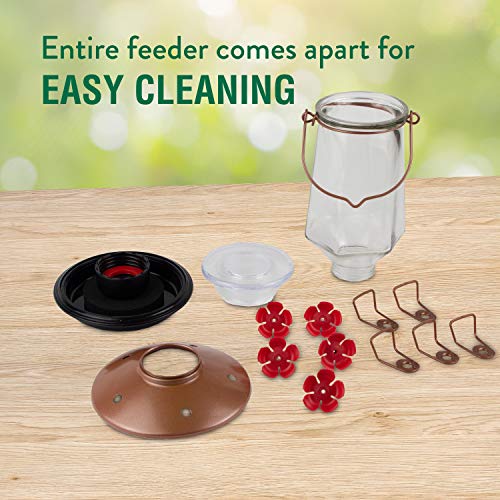 Bronze Glass Hummingbird Feeder 28 oz D499