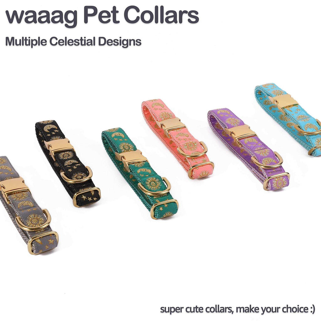 Cat Collar Dog Collar Cat Leash H5957