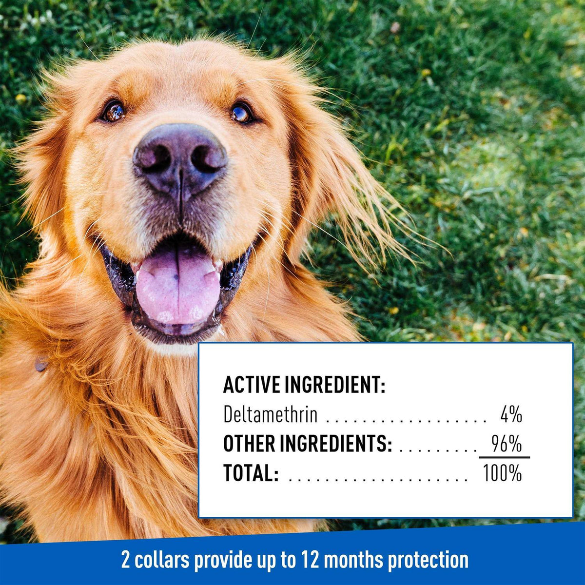 Flea Tick Collar for Dogs Puppies P4721