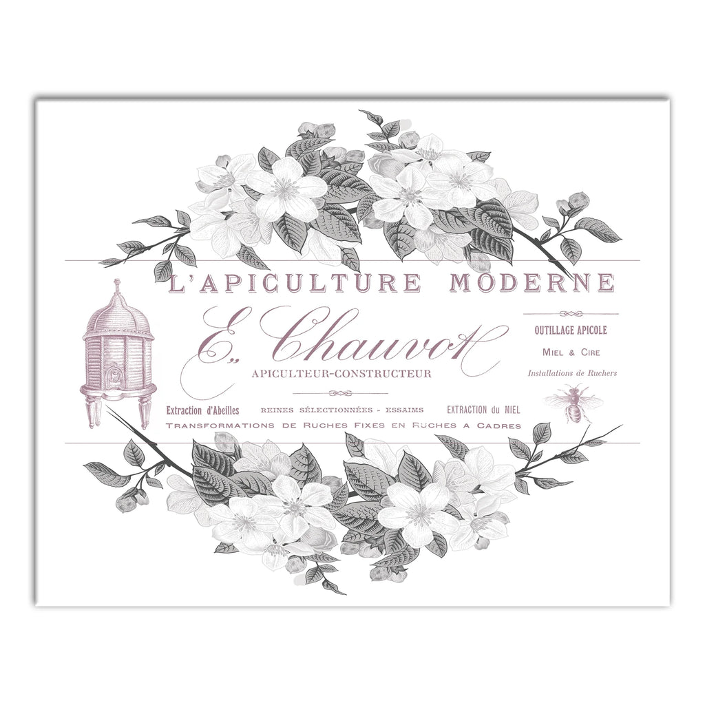 Canvas Wall Art O971572