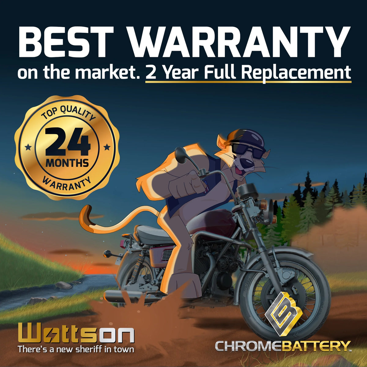 12 Volt 20 Ah 260 CCA Snowmobile Battery U500