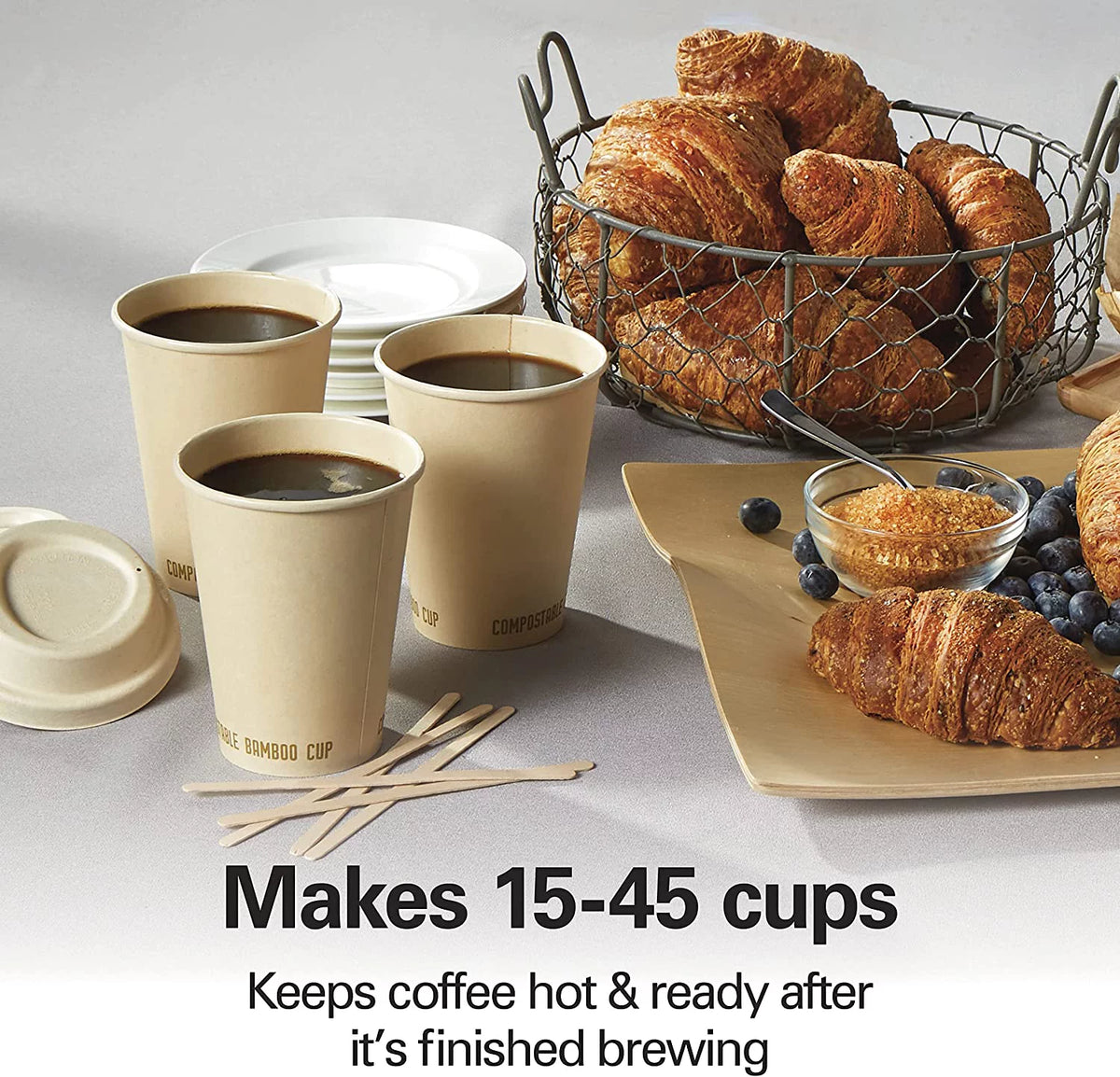 45 Cup Coffee Urn and Hot Beverage Dispenser P577
