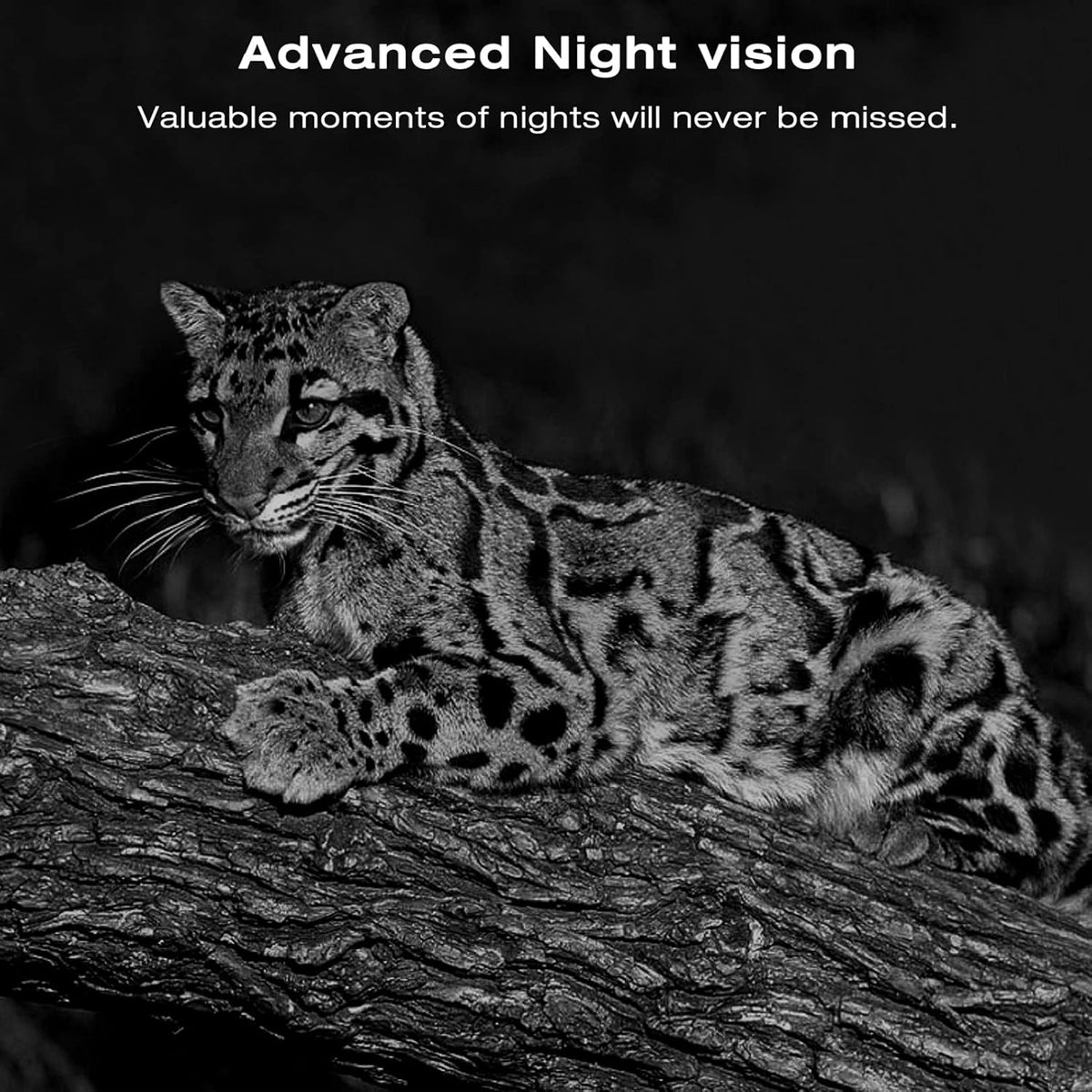 Solar Powered 4K 30MP Trail Camera with Night Vision C901728