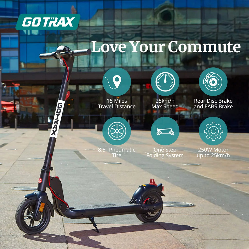 8.5" Tires Foldable Electric Scooter G5028