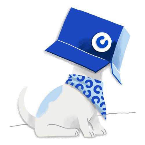 Dog Food K4966