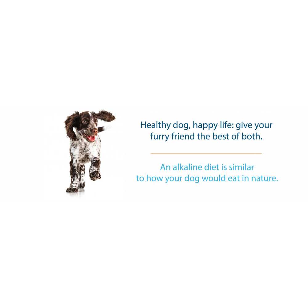 Grain-Free Dry Dog Food H658