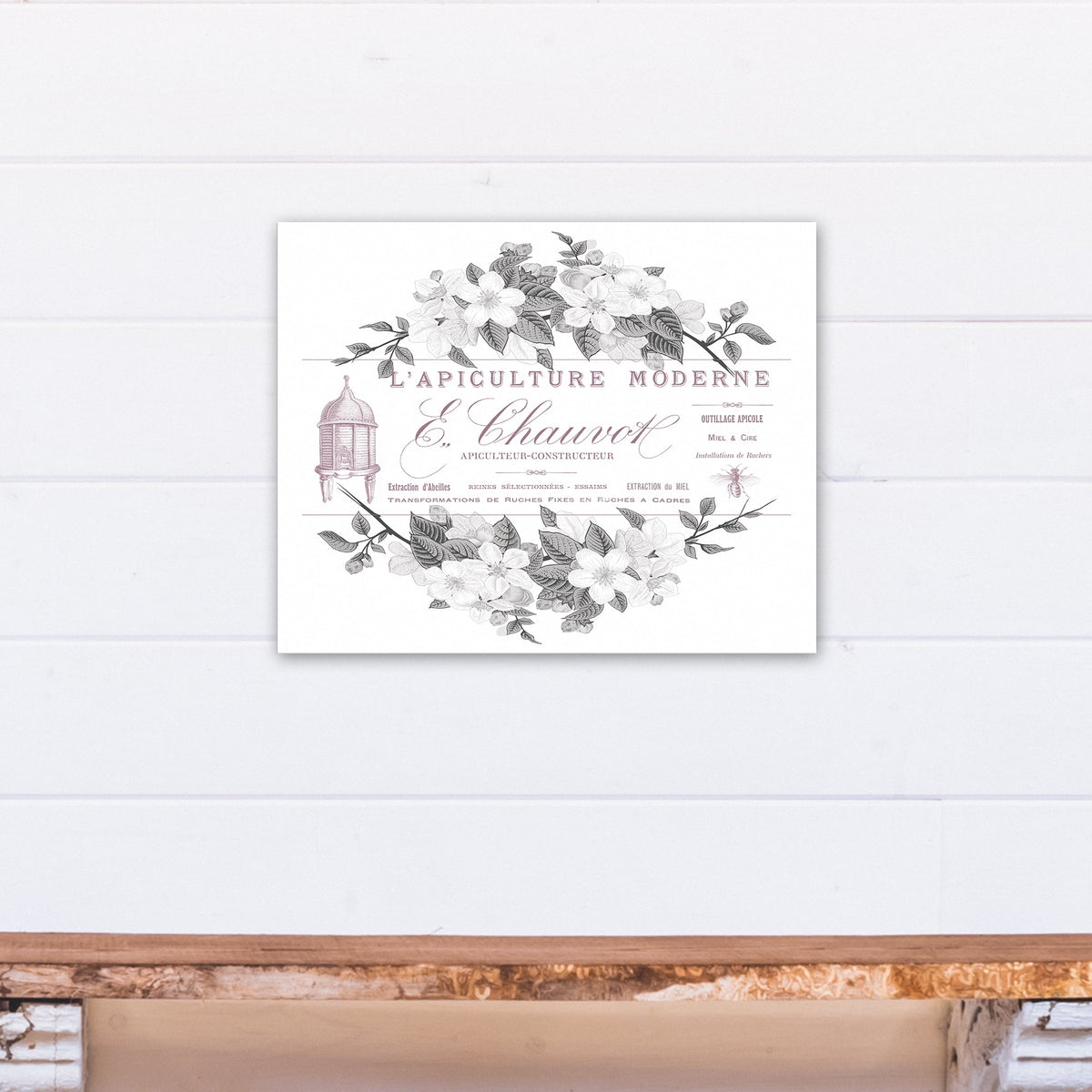 Canvas Wall Art O971572