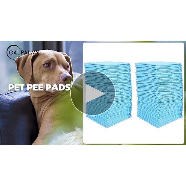 Ultra Absorbency Pet Toilet Training Pads 18 x 13 P7442