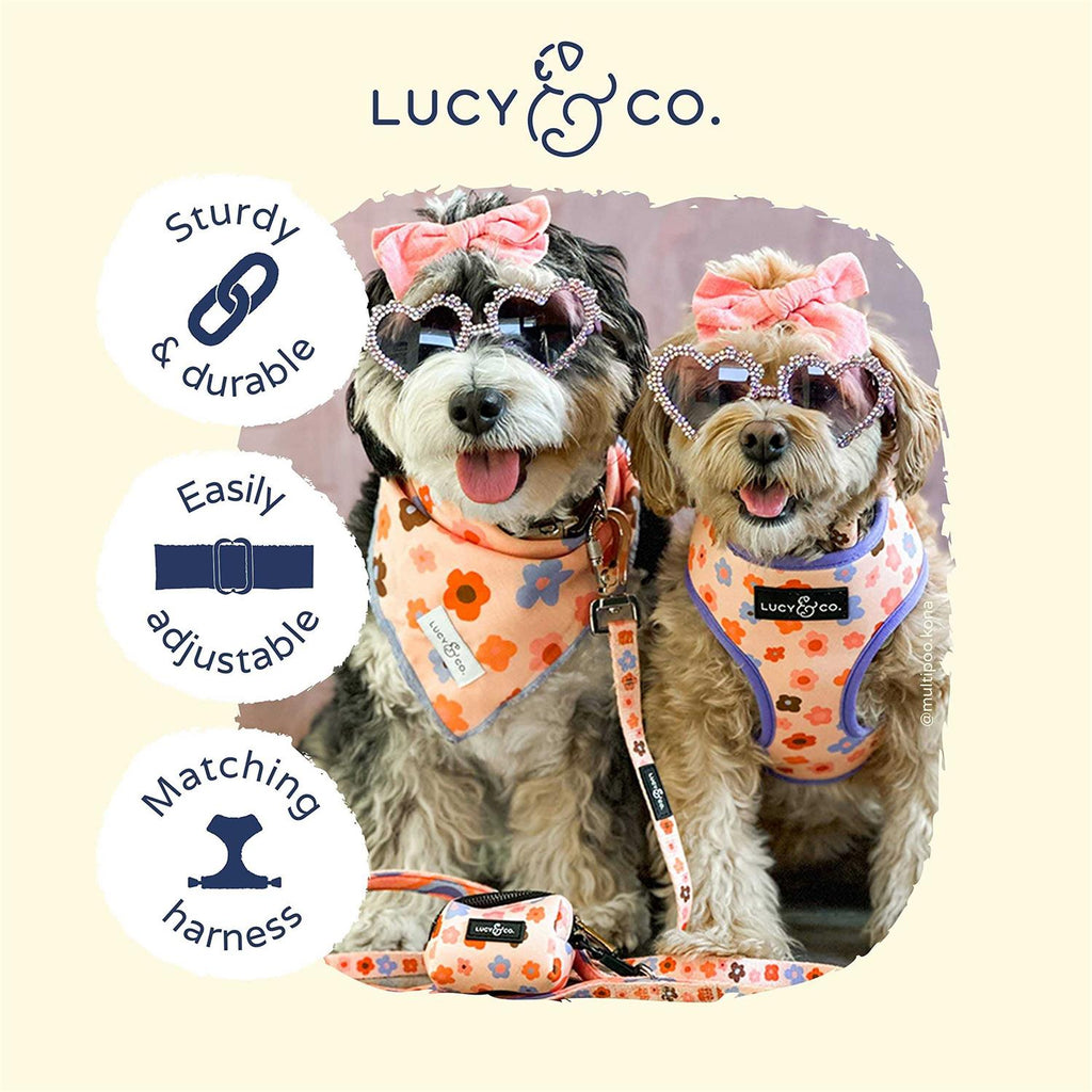 Adjustable Dog Collar I29119