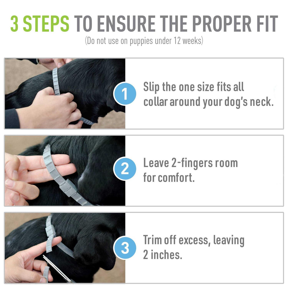 Flea Tick Collar for Dogs Puppies P4721