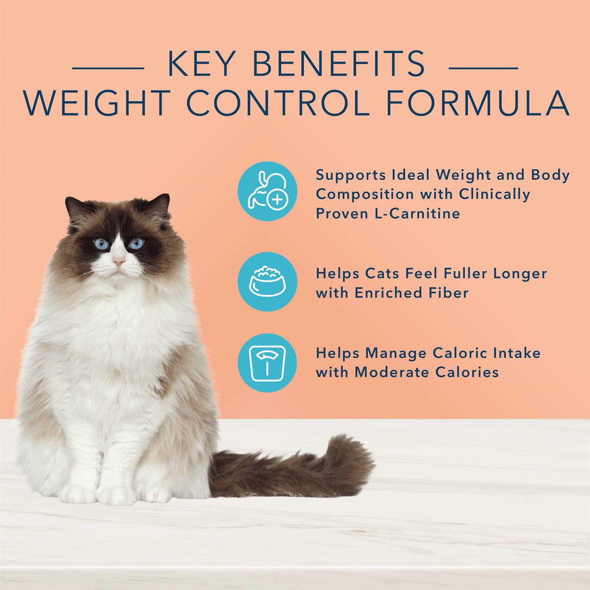 Natural Weight Control Adult Wet Cat Food X734