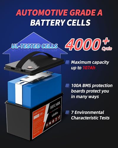 12V 100Ah LiFePO4 Deep Cycle Rechargeable Battery with BMS G238953