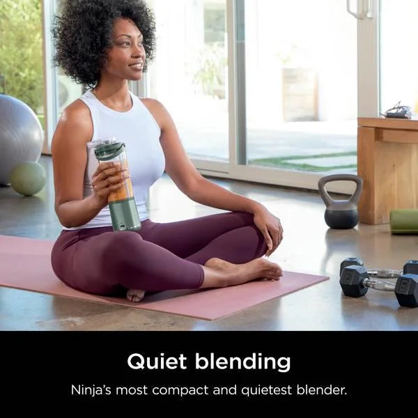 Portable Blender N748
