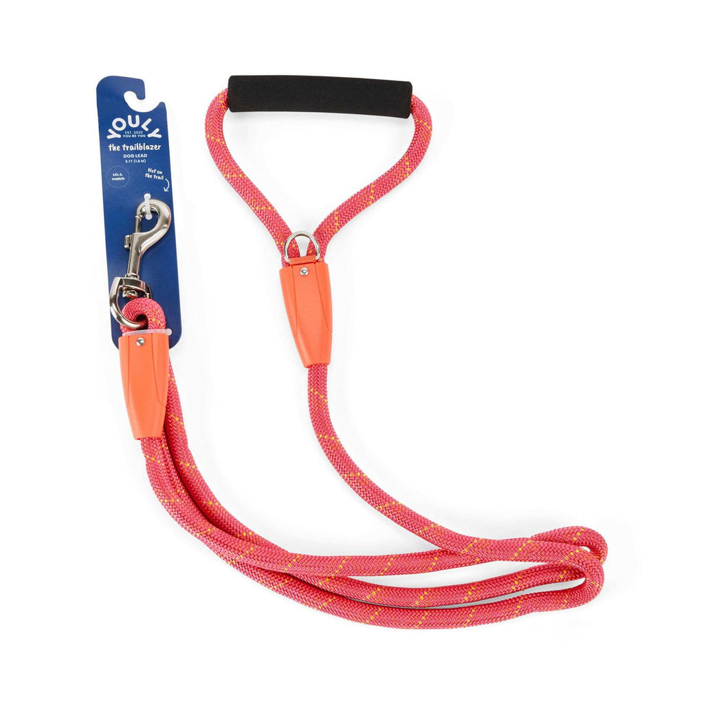 Pink & Orange Dog Lead A865