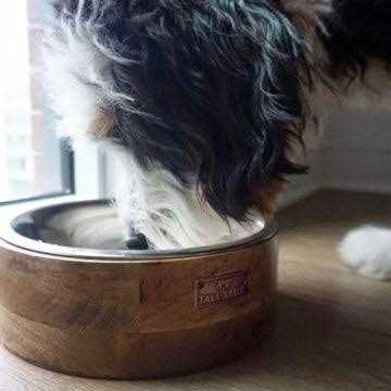 Wood Dog Bowl M604