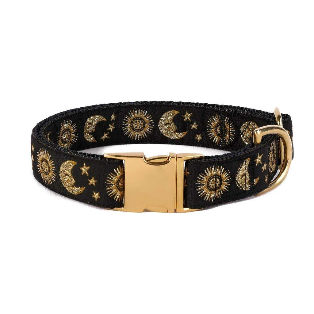 Cat Collar Dog Collar Cat Leash H5957