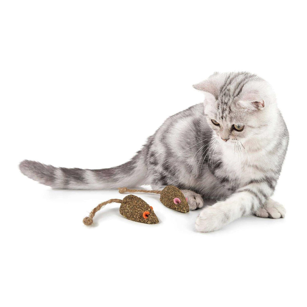 Cat Toy C757344