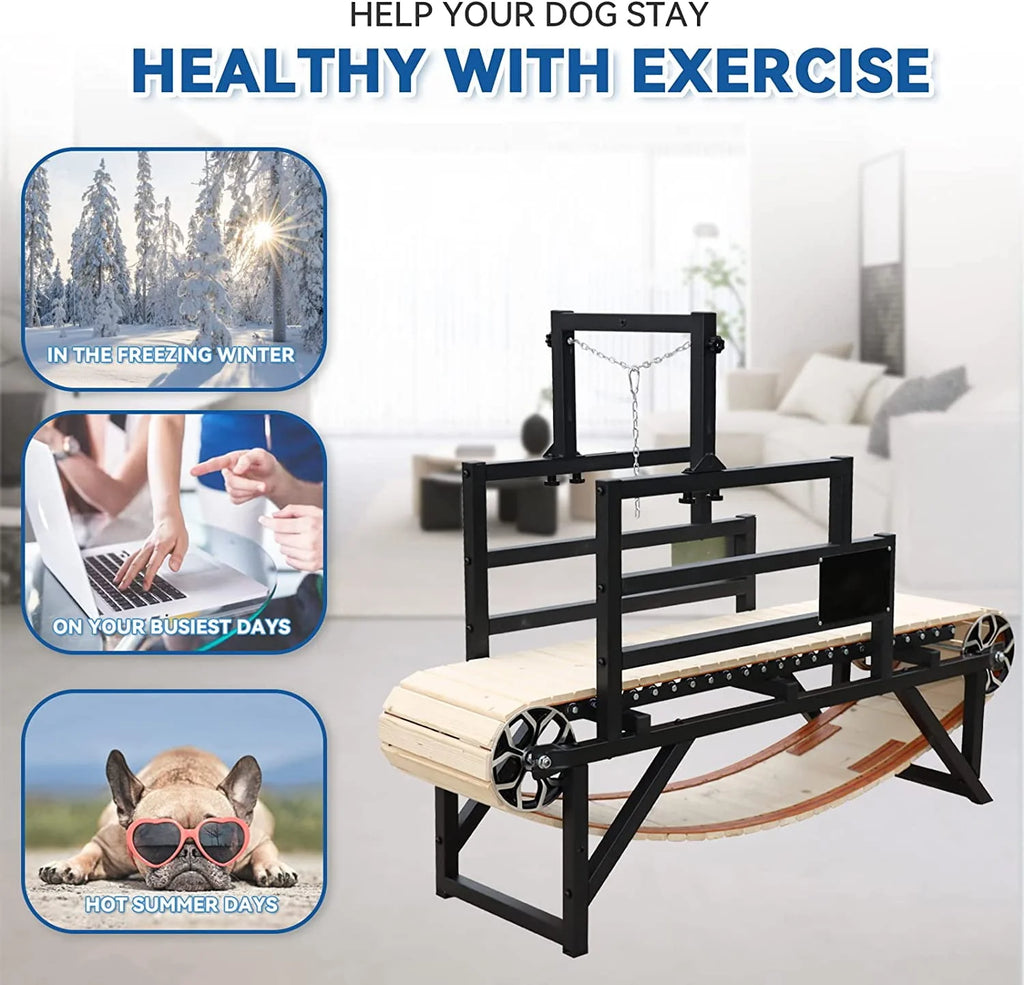 Manual Dog Treadmill X46312