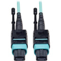2m Fiber Optic Fan-out Cable MTP/MPO to 8 x LC G2989