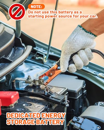 12V 100Ah LiFePO4 Deep Cycle Rechargeable Battery with BMS G238953