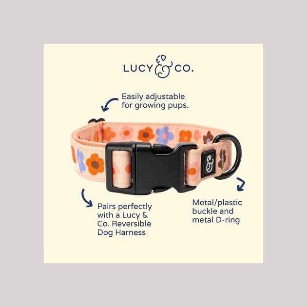 Adjustable Dog Collar I29119