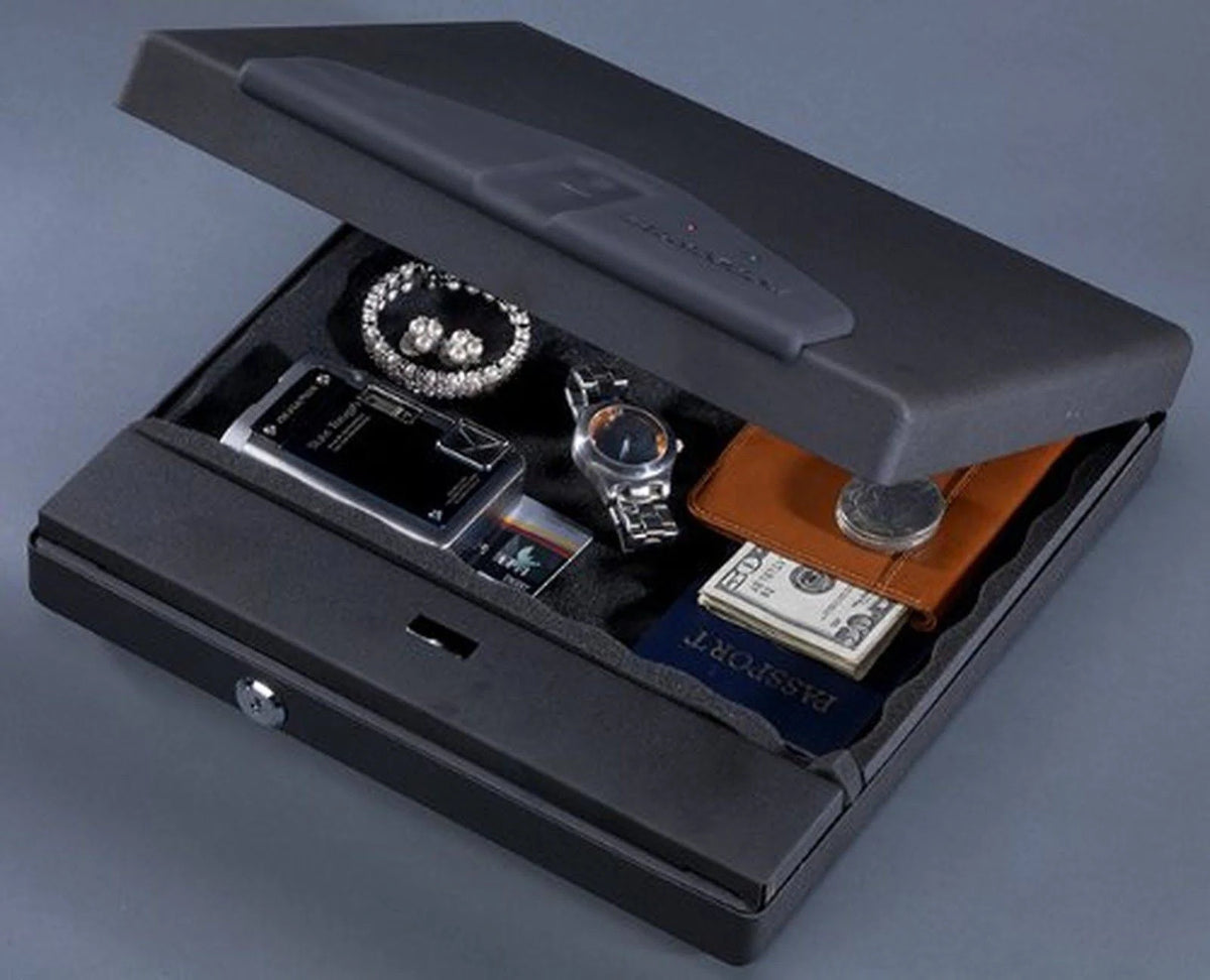 Large Portable Case with Biometric Lock O729917
