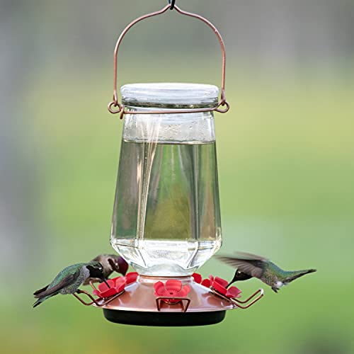 Bronze Glass Hummingbird Feeder 28 oz D499